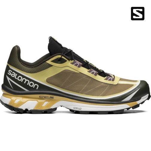 Tenis Salomon Xt-6 Ft Hombre Verde Oliva | MX EQZP049